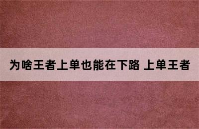 为啥王者上单也能在下路 上单王者